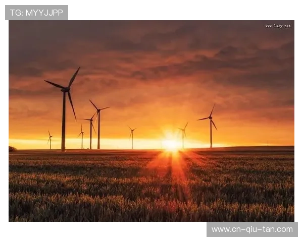 政策驱动方鼓励技术标准化,设备互联互通障碍逐步消除 政策驱动方鼓励技术标准化,设备互联互通障碍逐步消除